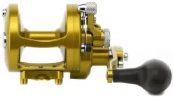 Avet MXL 6/4 MC Raptor 2-Speed Lever Drag Casting Reel - Gold -Fishing Equipment Store avet mxl 64 raptor 2 speed lever drag casting reel gold 08790.1650991946