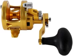 Avet SXJ 6/4 G2 NGP 2-Speed Reel - Gold (No Glide Plate) -Fishing Equipment Store avet sxj 6 4 g2 rh gd ngp reel 63540.1675796443