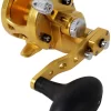 Avet SXJ 6/4 G2 NGP 2-Speed Reel - Gold (No Glide Plate)