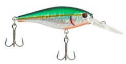 Berkley Flicker Shad Pro Slick Lures -Fishing Equipment Store berkley flicker shad pro slick lures 82579.1650809831