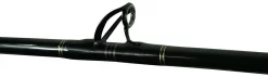 Blackfin Saltwater Bottom Fishing Rods -Fishing Equipment Store blackfin saltwater bottom fishing rods 87591.1651075239