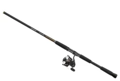 Daiwa BG Saltwater Spinning Combos