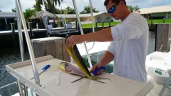 Dexter-Russell Guy Harvey GH133-8 8in Flexible Fillet Knife -Fishing Equipment Store dexter russell guy harvey gh133 8 8 flexible fillet knife 63032.1665240883