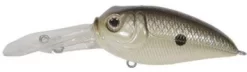 Duckett Fishing BD Sculpo XD Crankbait - Pearl Grey Shiner