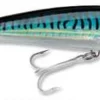 Rapala X-Rap Saltwater