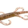Zoom Lizard Bait - 6in - Pumpkin